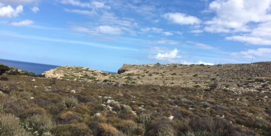 Plot in Kokkino Chorio