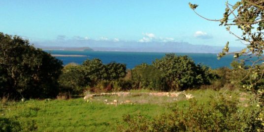 Plots of land in Chorafakia