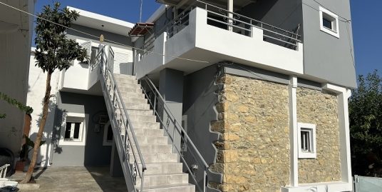 Two Renovated -Apartments in Pigi