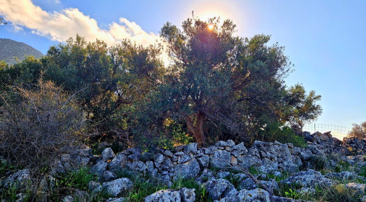 Land-in-Chania-Crete-for-sale (13)