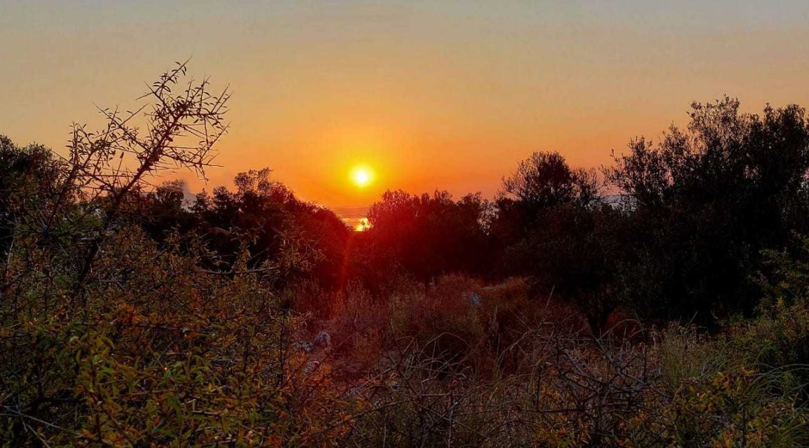 Land-in-Chania-Crete-for-sale (14)