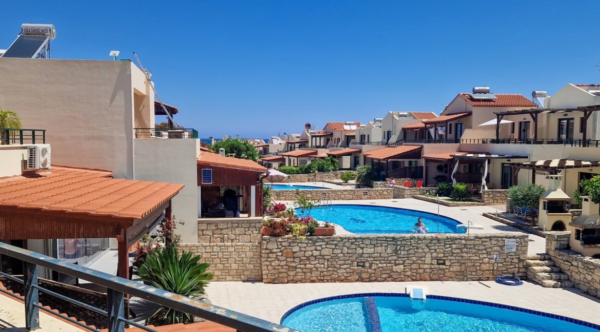 41